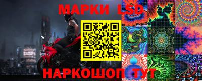 гидропоника Будённовск