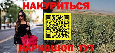 стафф Пушкино