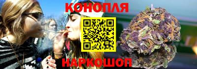 гидропоника Будённовск