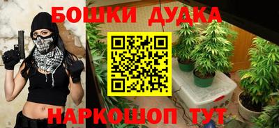 гидропоника Будённовск