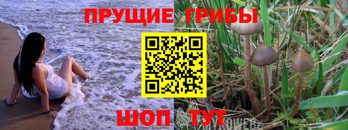 Галлюциногенные грибы мицелий Санкт-Петербург